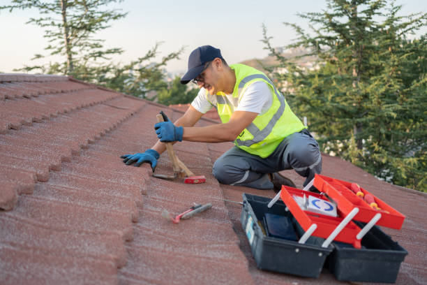 Best Roof Gutter Cleaning  in Frederick, OK